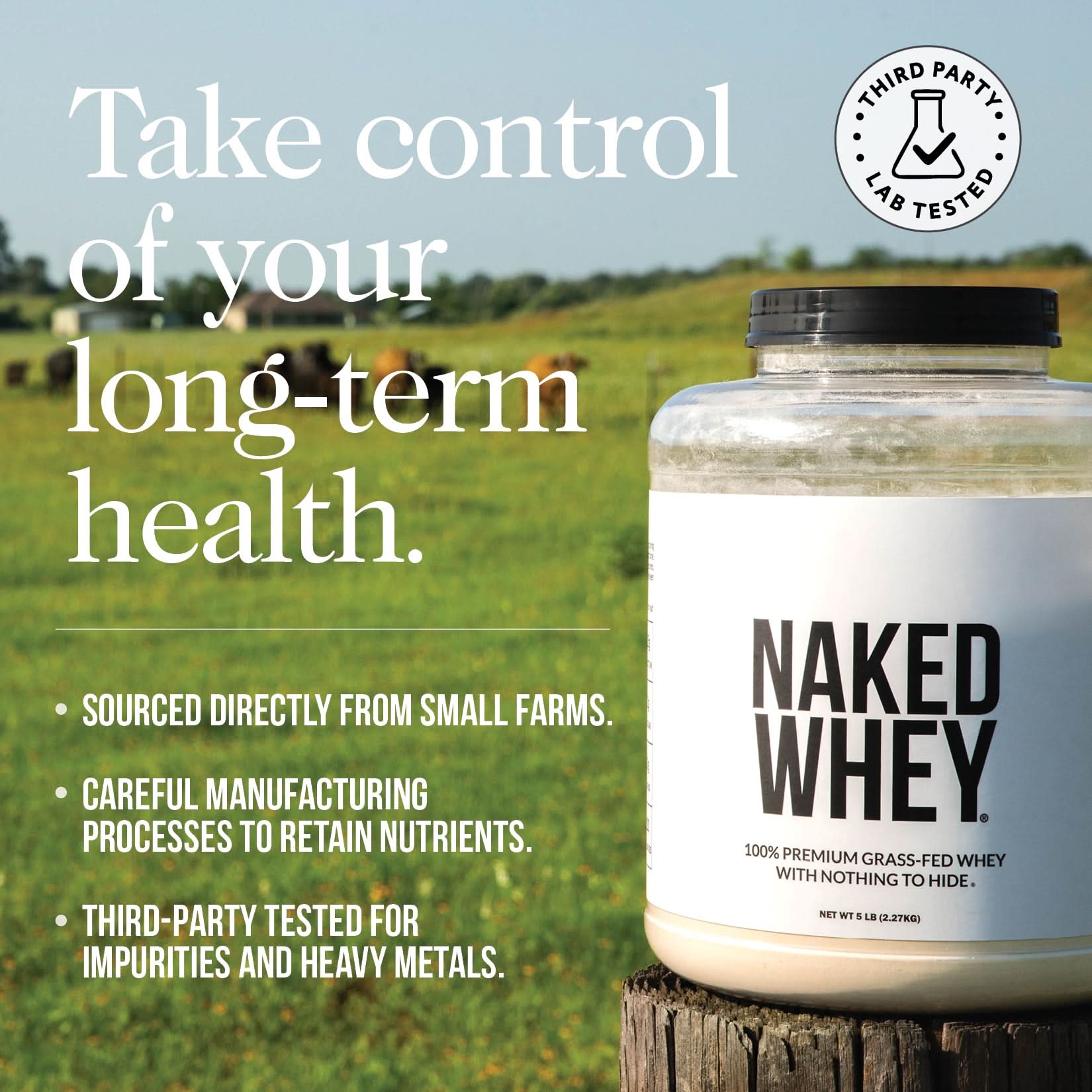 Grass Fed Whey Isolate Protein Powder - Unflavored